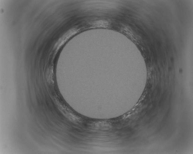 X0000080180146200612221324