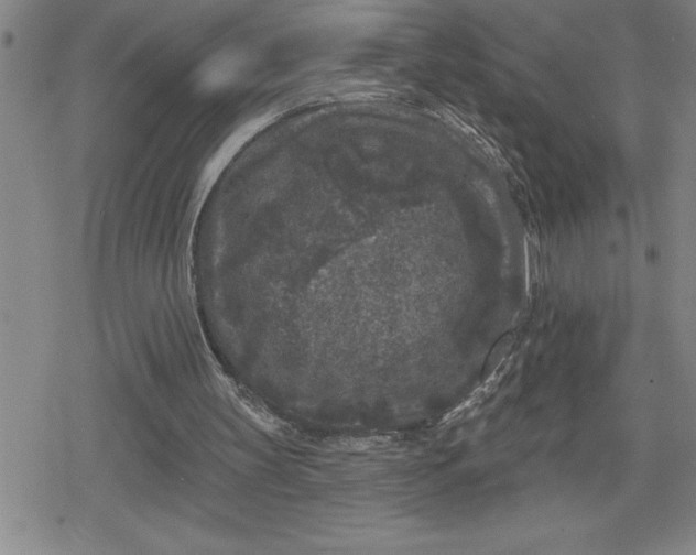 X0000080180147200612221324