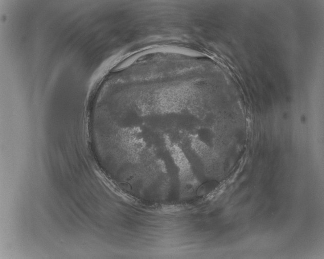 X0000080180149200612221324