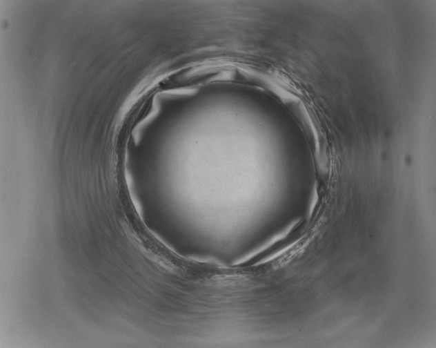 X0000080180150200612221324