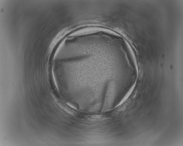 X0000080180151200612221324