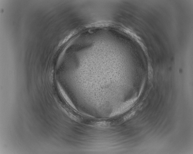 X0000080180153200612221324