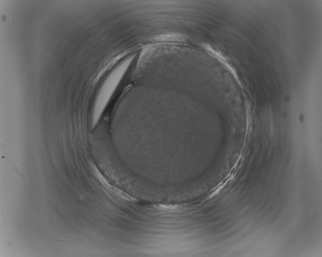 X0000080180154200612221324