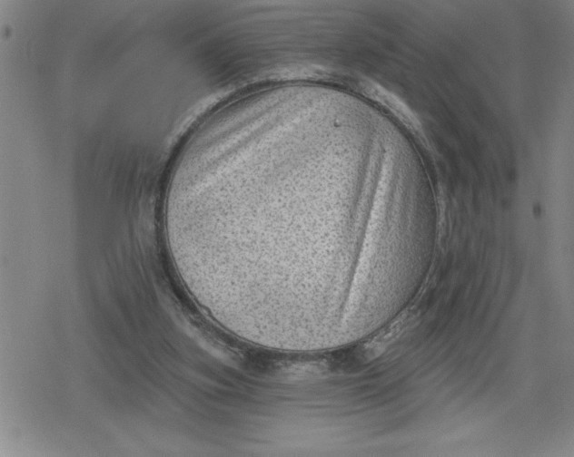 X0000080180155200612221324