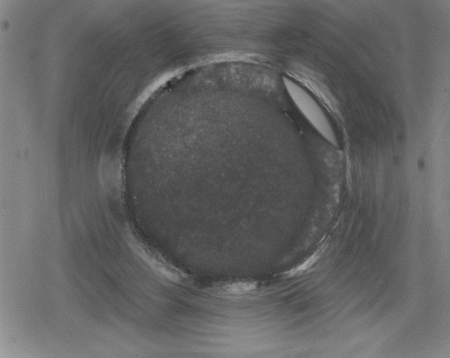 X0000080180156200612221324