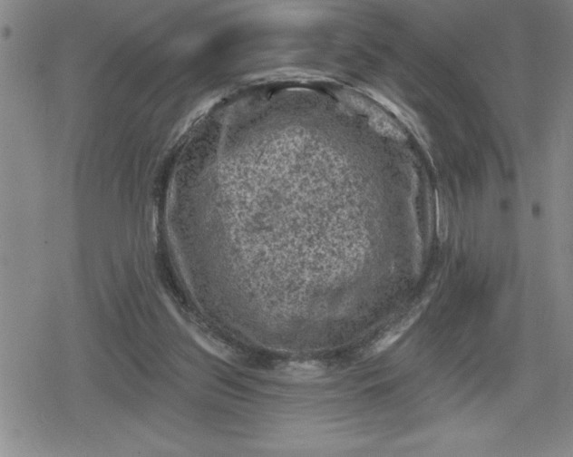 X0000080180157200612221324