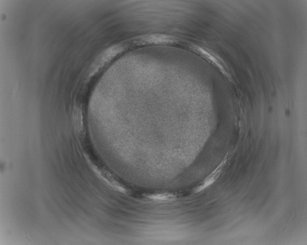 X0000080180158200612221324