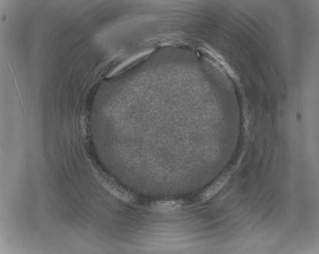 X0000080180161200612221324