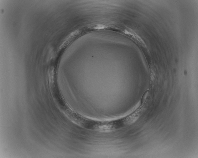 X0000080180163200612221324