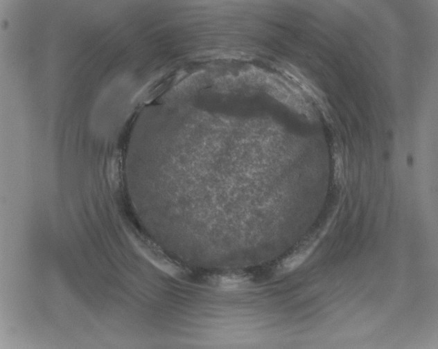 X0000080180165200612221324