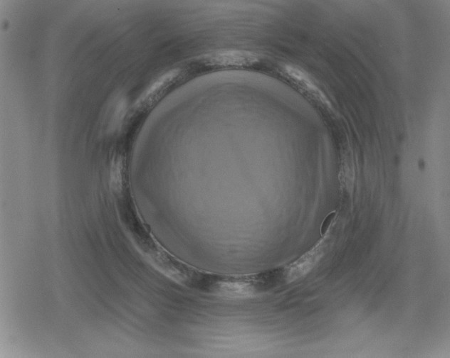 X0000080180167200612221325