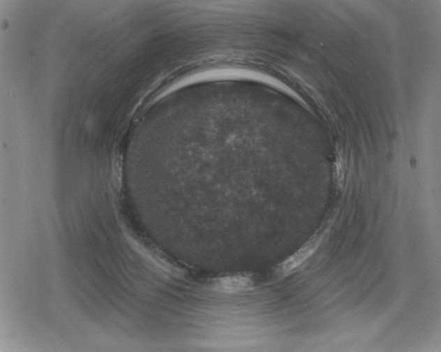 X0000080180168200612221325