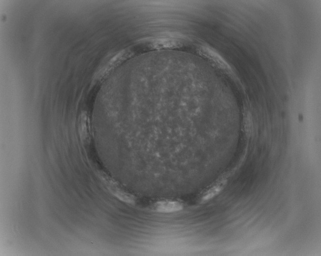 X0000080180169200612221325