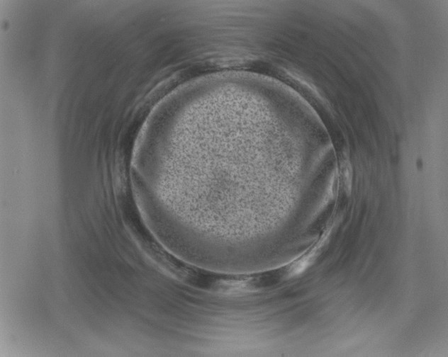 X0000080180170200612221325