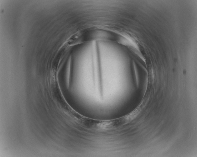 X0000080180172200612221325