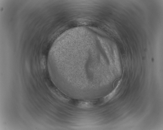 X0000080180174200612221325