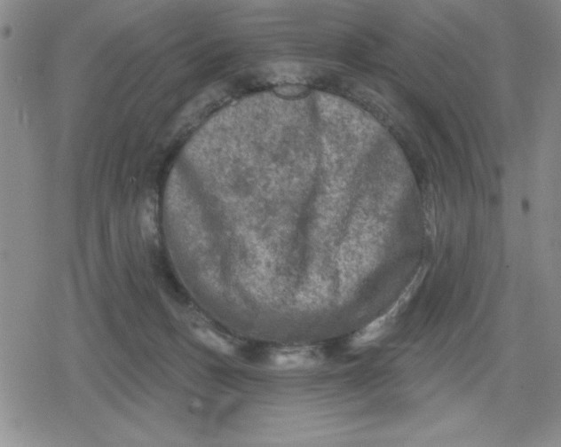 X0000080180175200612221325