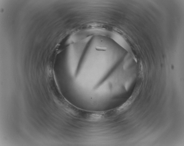 X0000080180176200612221325