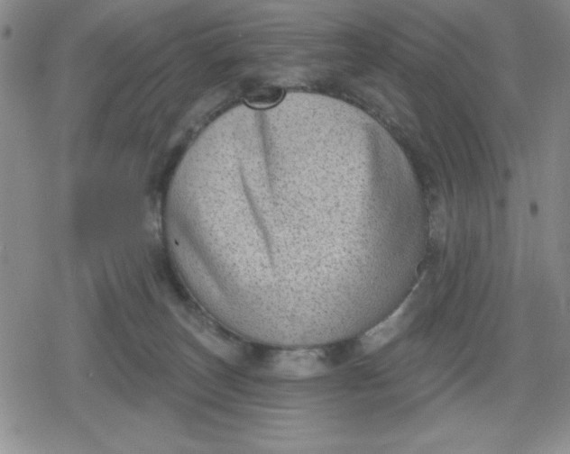 X0000080180179200612221325