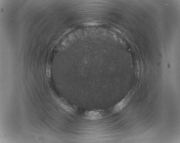 X0000080180180200612221325