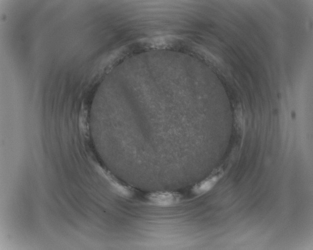 X0000080180181200612221325