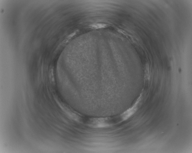 X0000080180182200612221325