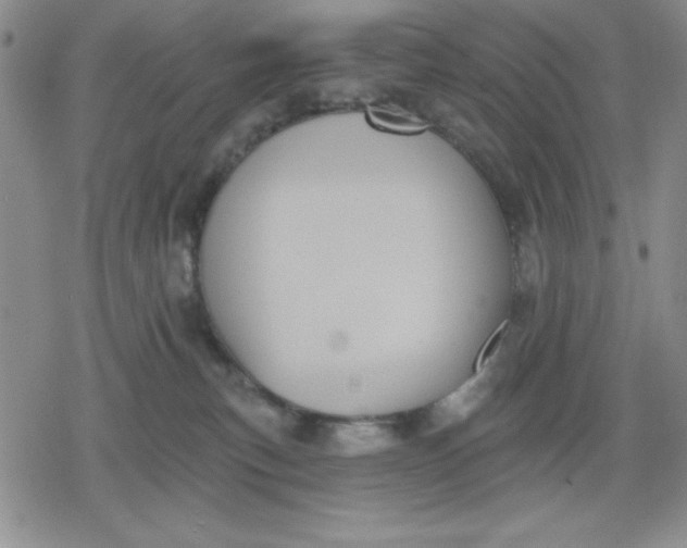 X0000080180183200612221325