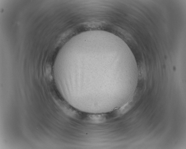 X0000080180187200612221325