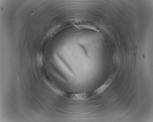 X0000080180188200612221325