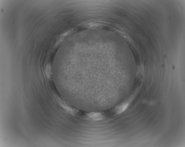 X0000080180189200612221325