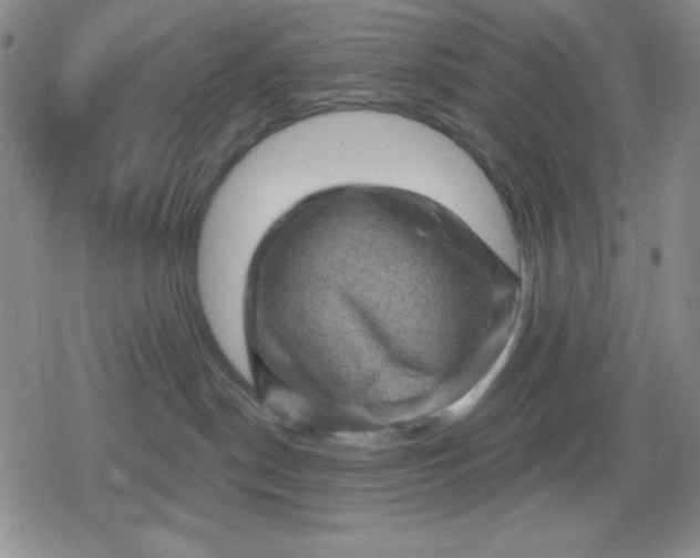 X0000080180190200612221325