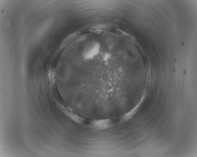 X0000080180191200612221325