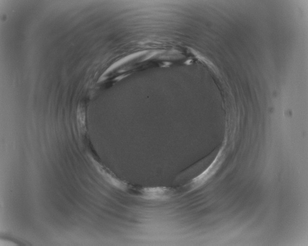 X0000080180192200612221325