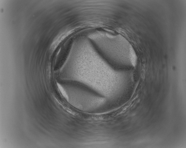 X0000080180194200612221324