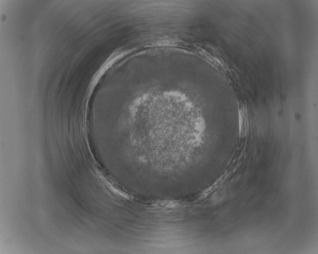 X0000080180195200612221324