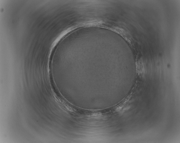 X0000080180196200612221324