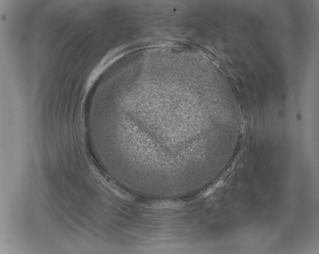 X0000080180198200612221324