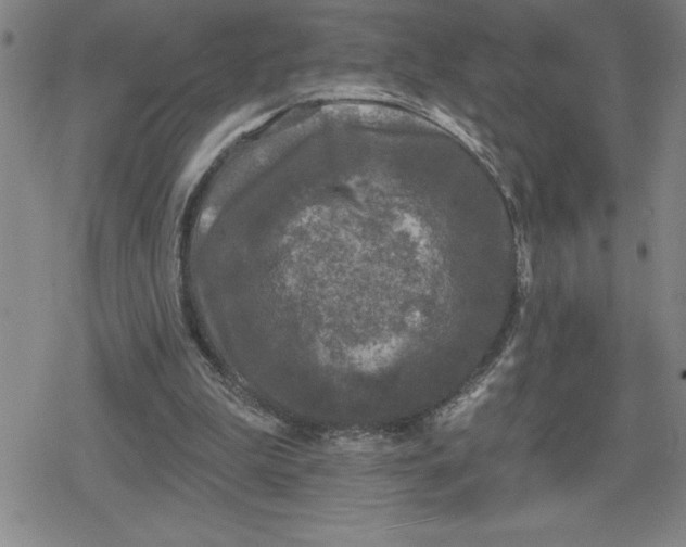 X0000080180199200612221324