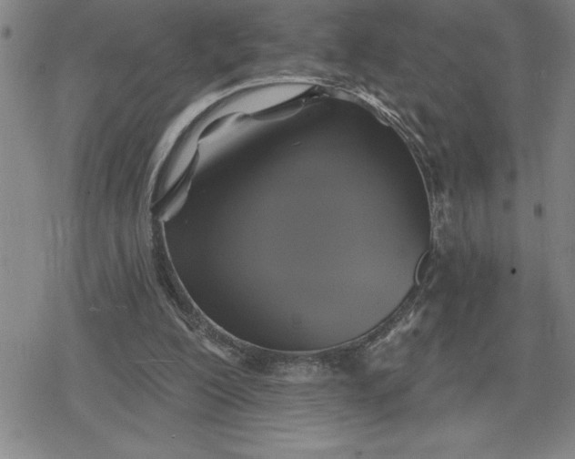 X0000080180200200612221324