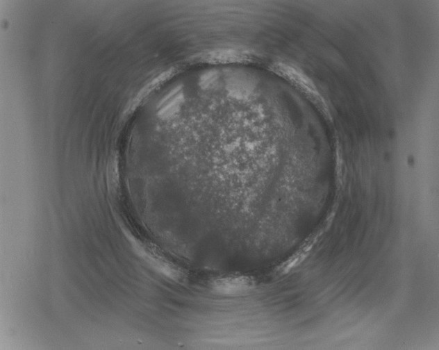 X0000080180202200612221324