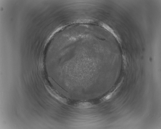 X0000080180203200612221324