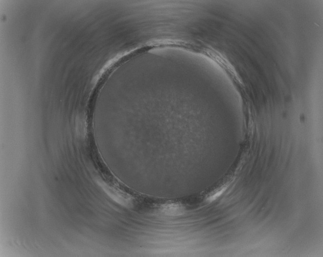 X0000080180204200612221324