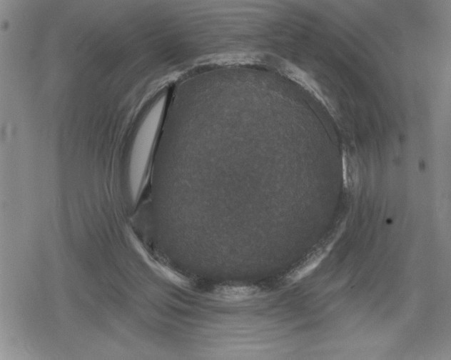 X0000080180205200612221324