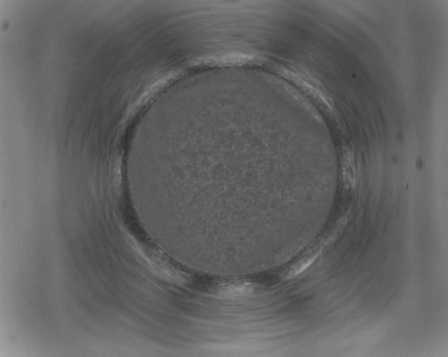 X0000080180206200612221324