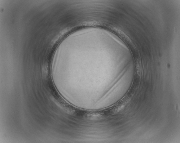 X0000080180208200612221324