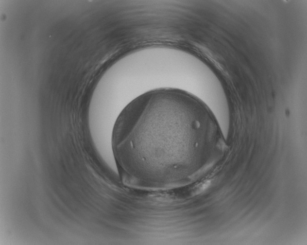 X0000080180211200612221324