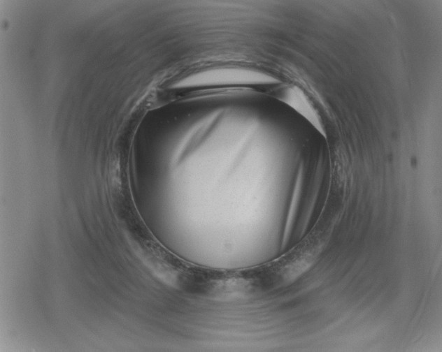 X0000080180212200612221324