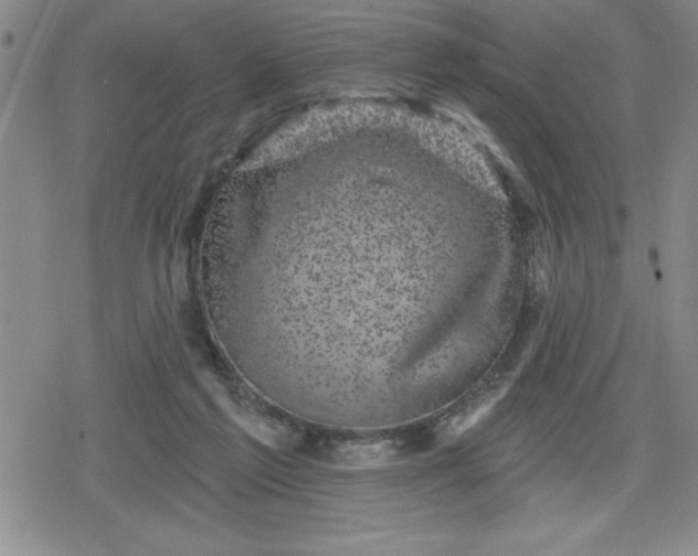 X0000080180213200612221324