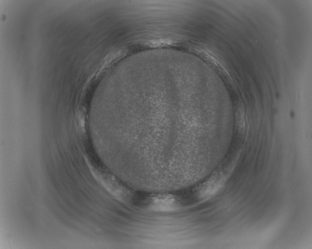 X0000080180214200612221324