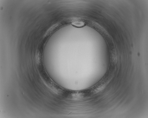 X0000080180216200612221324